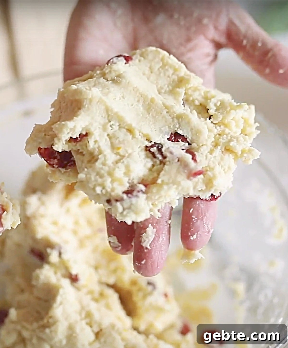 Hand holding piece of cranberry scone dough.