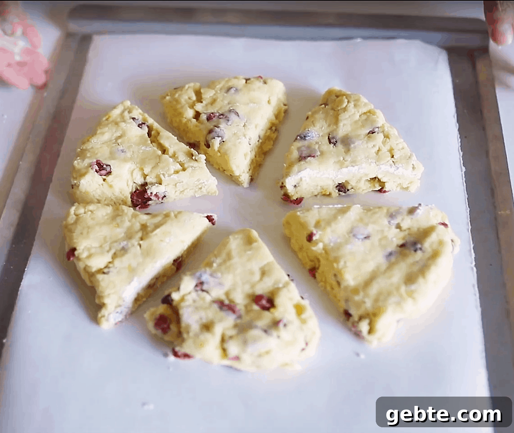 Round of unbaked triangular scones on baking sheet