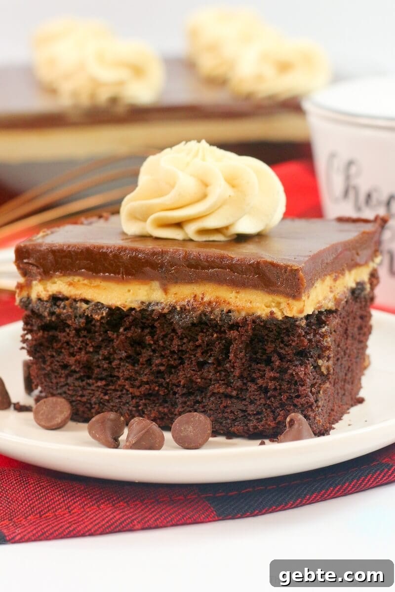Reese’s Cupcake Recipe: Chocolate Cupcakes Stuffed with Reese’s Cups 11 This Chocolate Peanut Butter Texas Sheet Cake