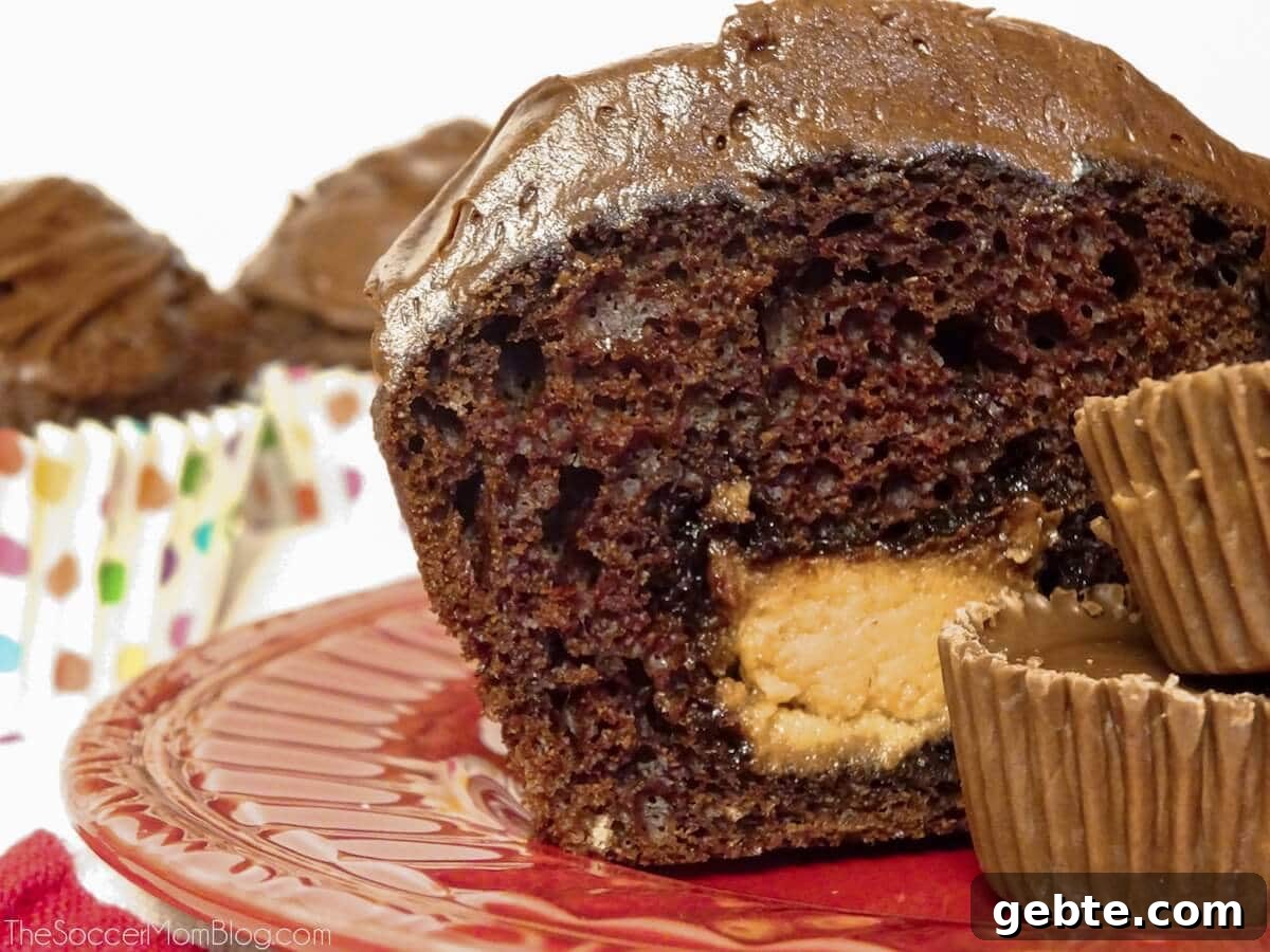 Reese’s Cupcake Recipe: Chocolate Cupcakes Stuffed with Reese’s Cups 13 chocolate cupcake filled with Reese's peanut butter cup