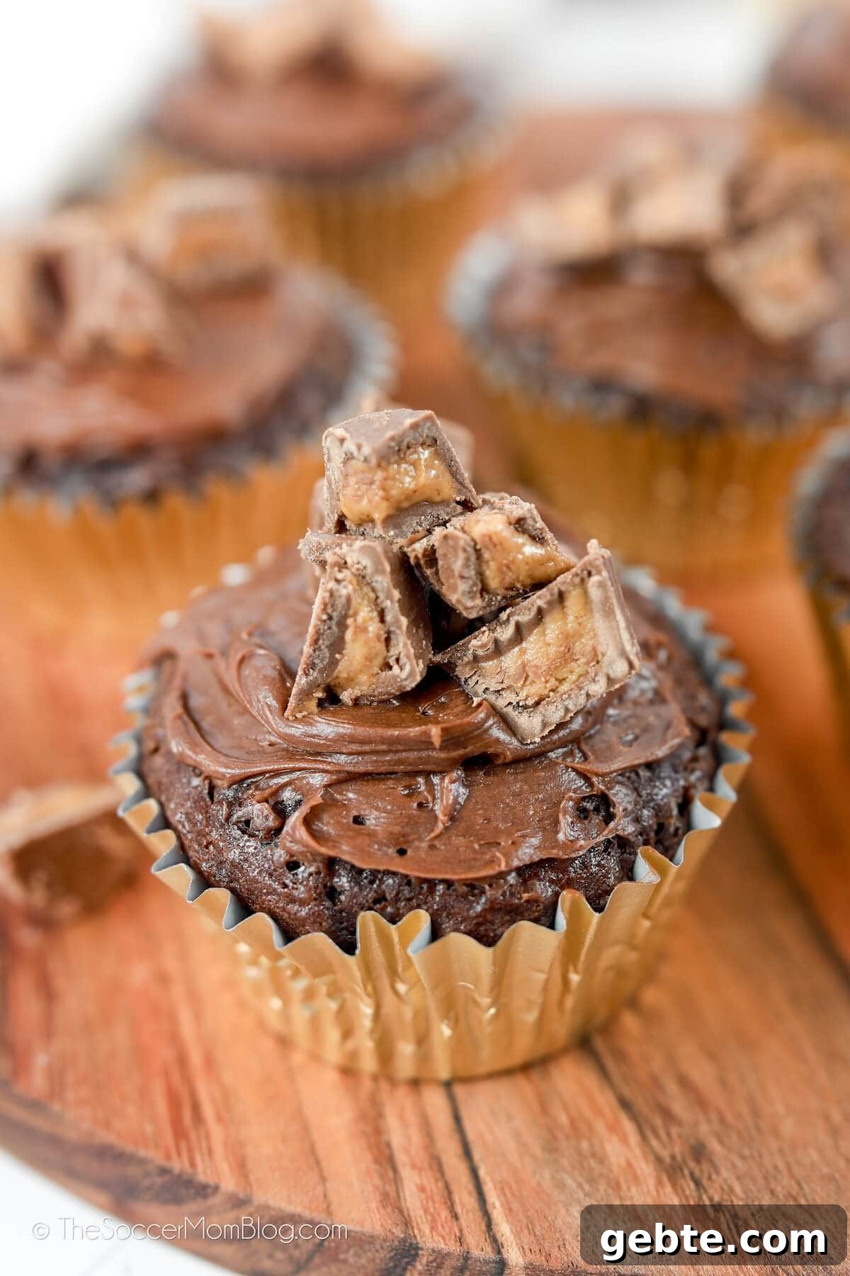 Reese’s Cupcake Recipe: Chocolate Cupcakes Stuffed with Reese’s Cups 3 chocolate cupcakes topped with chopped peanut butter cups
