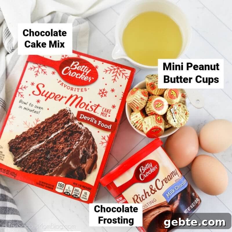 Reese’s Cupcake Recipe: Chocolate Cupcakes Stuffed with Reese’s Cups 4 chocolate peanut butter cupcake ingredients on counter, with labels