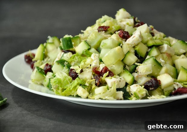 Shredded Brussels Sprout Salad Recipe