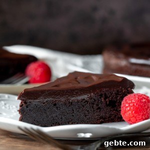 Flourless Chocolate Cake Recipe: Rich, Decadent and Gluten-Free 10 Slice of flourless chocolate cake with chocolate ganache
