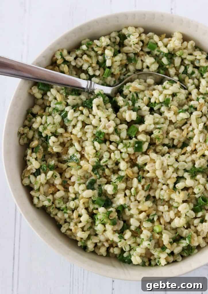 Warm Barley Salad with Garden Herbs and Lemon Vinaigrette 2 Barley salad with fresh herbs in a bowl with a spoon