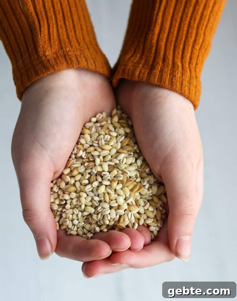 Warm Barley Salad with Garden Herbs and Lemon Vinaigrette 3 Hands holding dry barley grains
