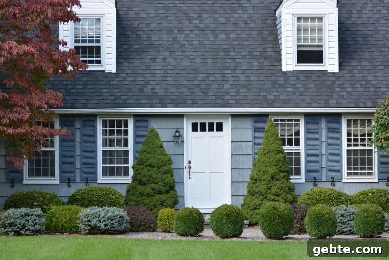 blue house with shrubs in front