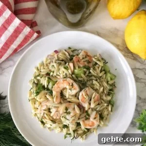 Orzo with shrimp (Κριθαράκι με γαρίδες)