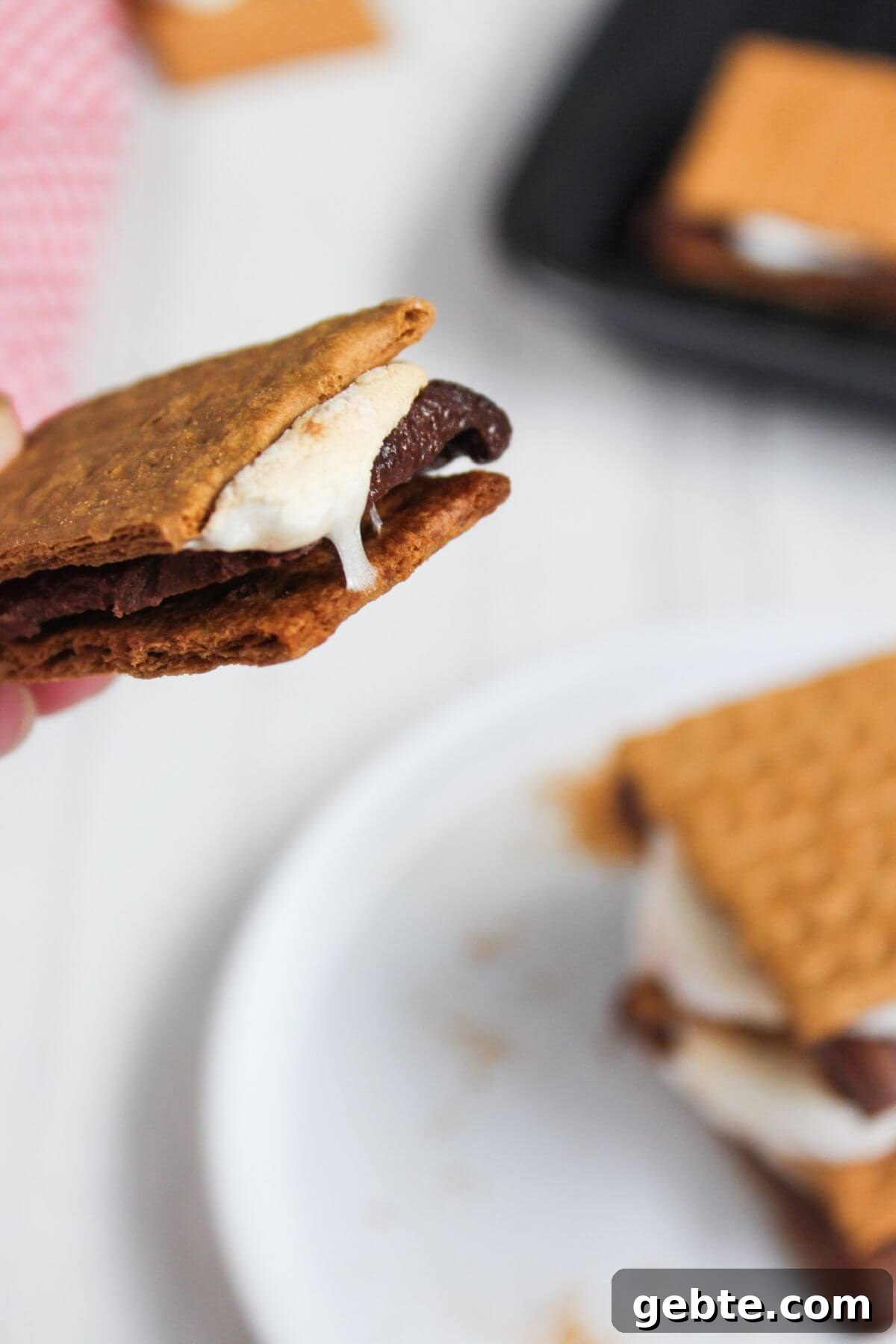 Crispy Air Fryer S'mores Recipe: Gooey Campfire Treats Fast 9 A person holding a s'more over a plate of s'mores.