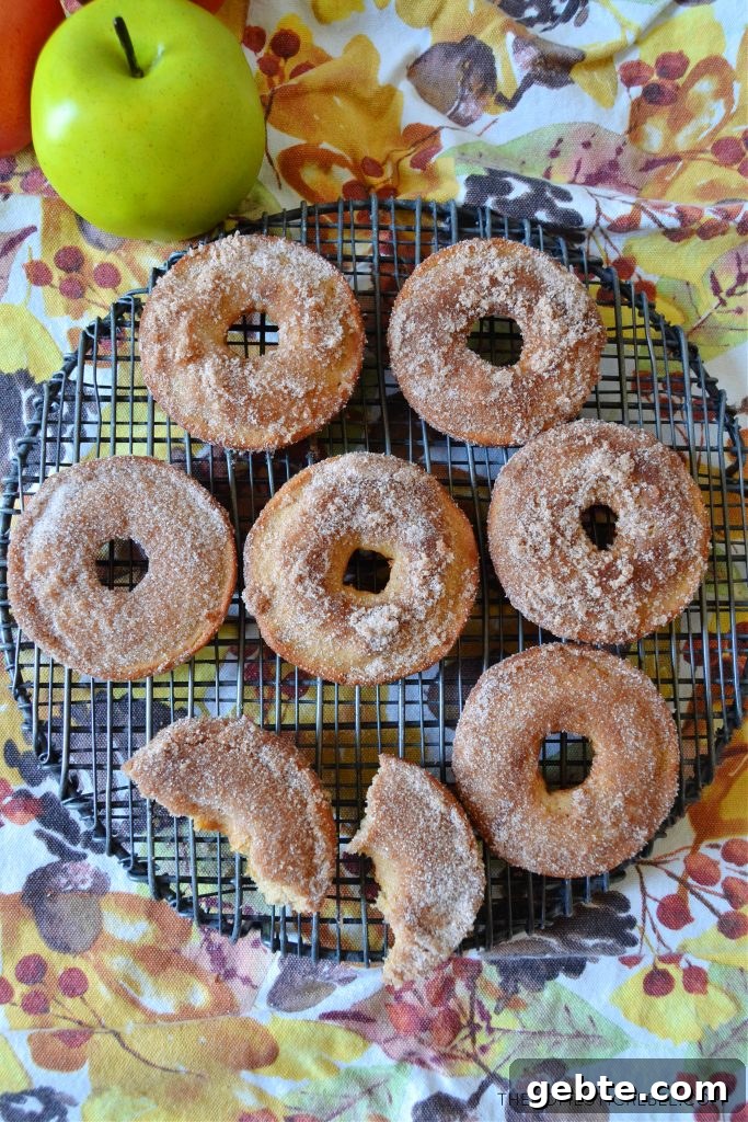 Apple Cider Baked Donuts Recipe: Cinnamon-Glazed Fall Treat 3 apple cider donuts arranged on a round wire rack with a green apple