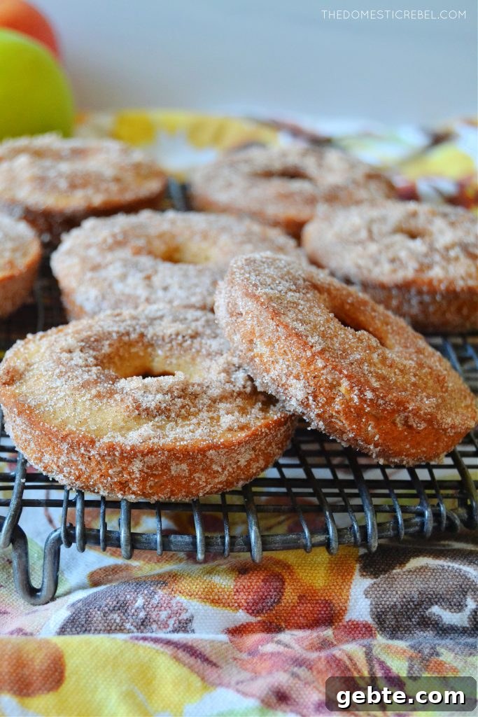 Apple Cider Baked Donuts Recipe: Cinnamon-Glazed Fall Treat 4 apple cider donuts arranged on a black wire rack