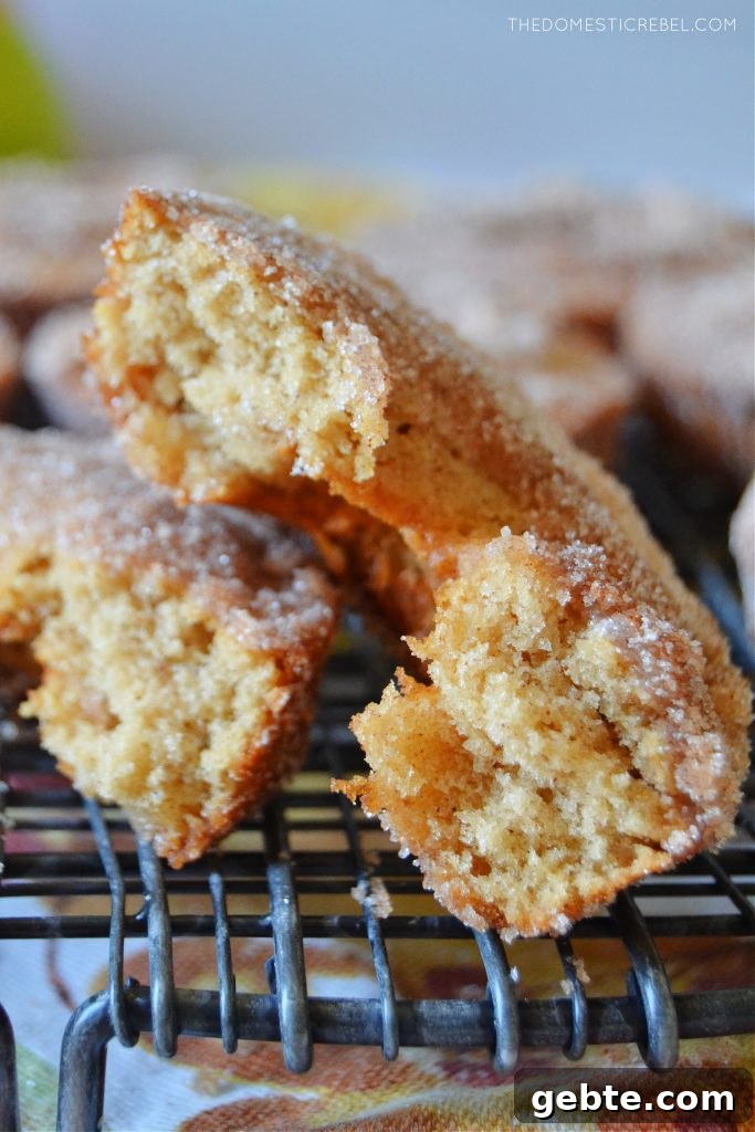 closeup of a split open apple cider donut