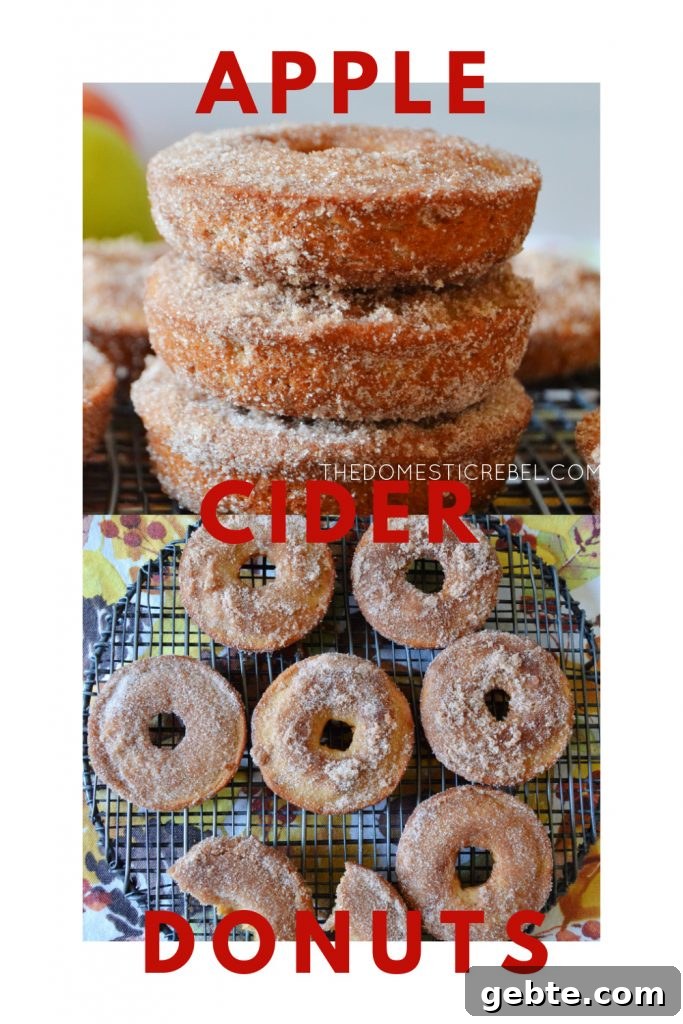 Apple Cider Baked Donuts Recipe: Cinnamon-Glazed Fall Treat 8 apple cider donuts photo collage