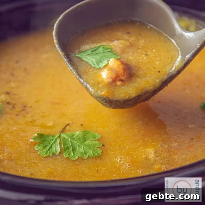 A square photo of a slow cooker filled with creamy filled vegetable soup with meatballs