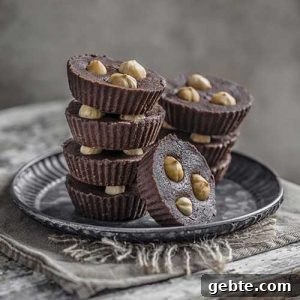Chocolate Chickpea Fudge Bites — Protein-Packed Snack Recipe 2 Chickpea Chocolate Fudge Bites