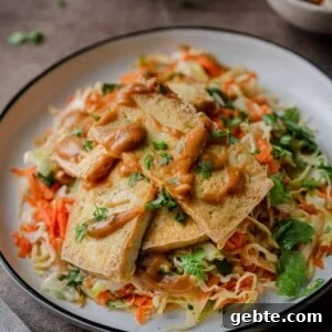 crispy tofu with peanut sauce over cabbage slaw