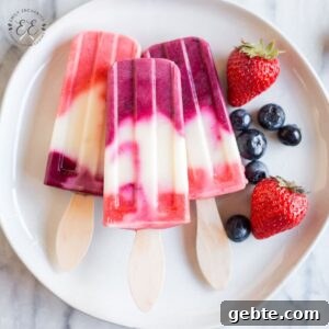 Refreshing Homemade Berry Popsicles Recipe for Summer 2 img 2260 10