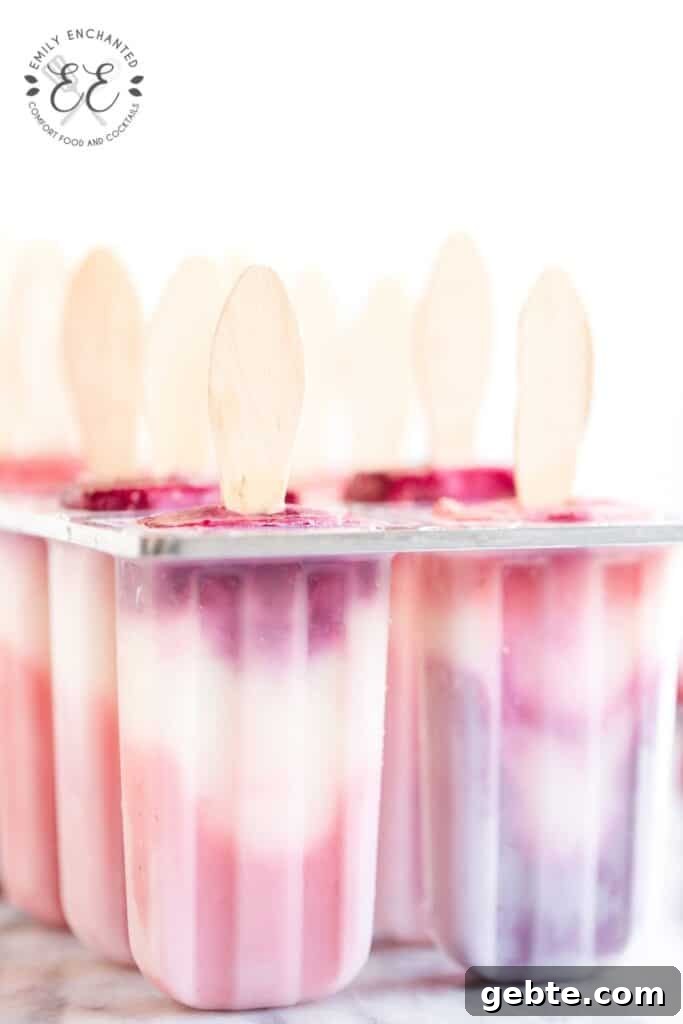 Berry Popsicle Recipe Berry Popsicle Recipe