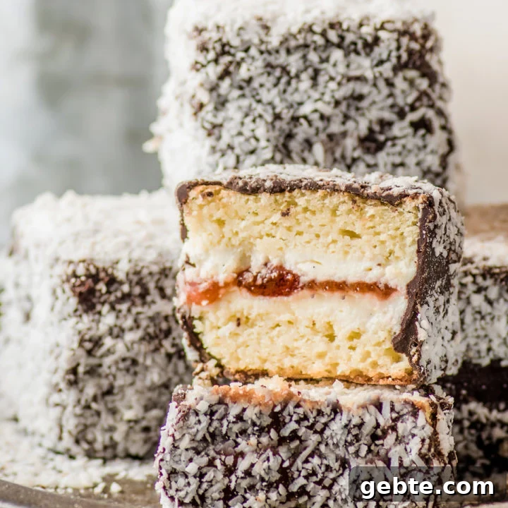 Gluten-free Lamingtons with Homemade Jam Filling (low carb too!)