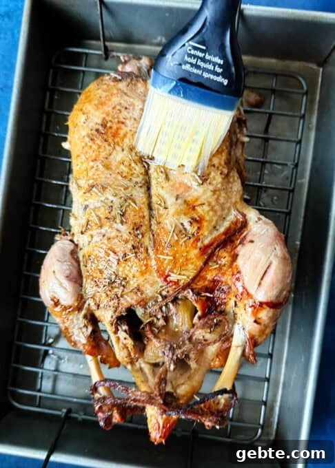 Brushing the duck with fat