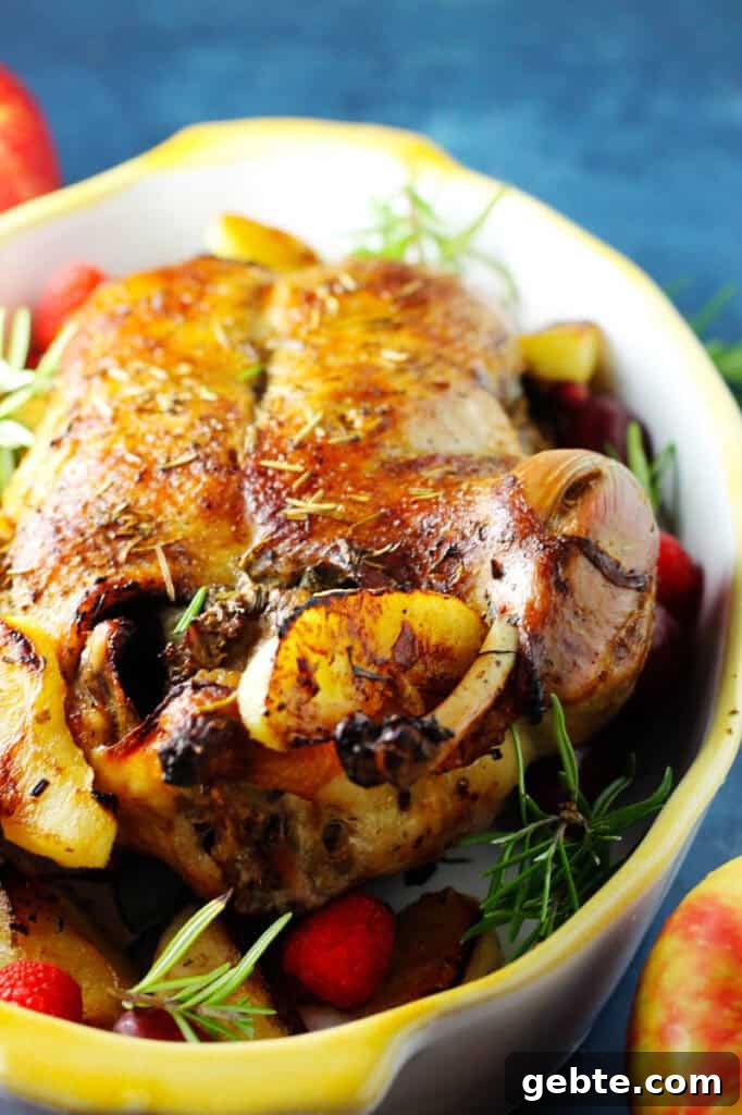 Close up of roast duck stuffed with apples