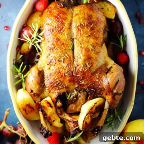 Overhead of roast duck stuffed with apples