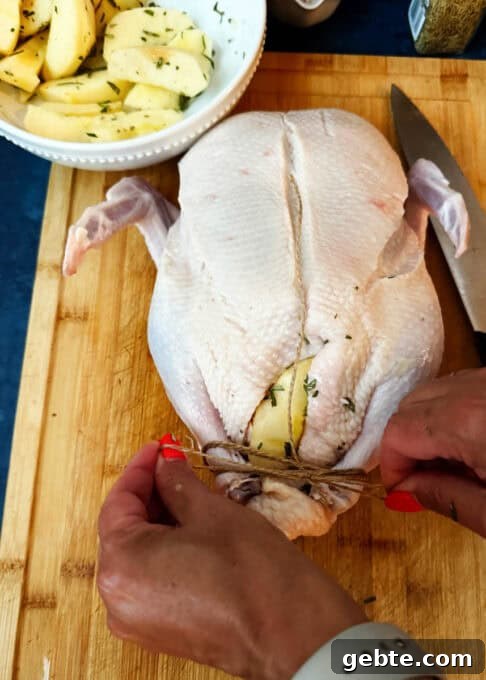 Duck's legs tied with twine