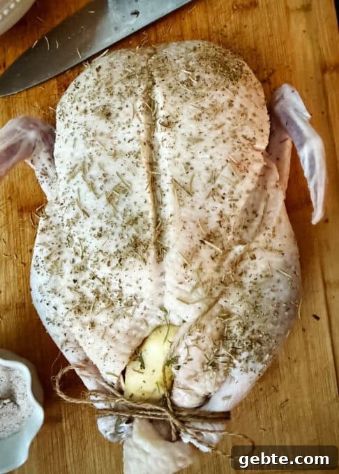 Seasoned duck