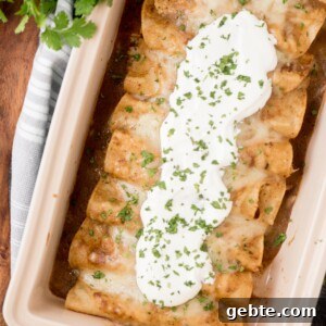 Authentic Red Chicken Enchiladas Recipe with Homemade Sauce 14 chicken enchiladas in a baking dish topped with sour cream and fresh cilantro