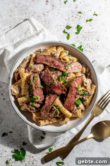 Top Pasta Recipes to Make Tonight 3 A bowl of creamy steak pasta on a white background.