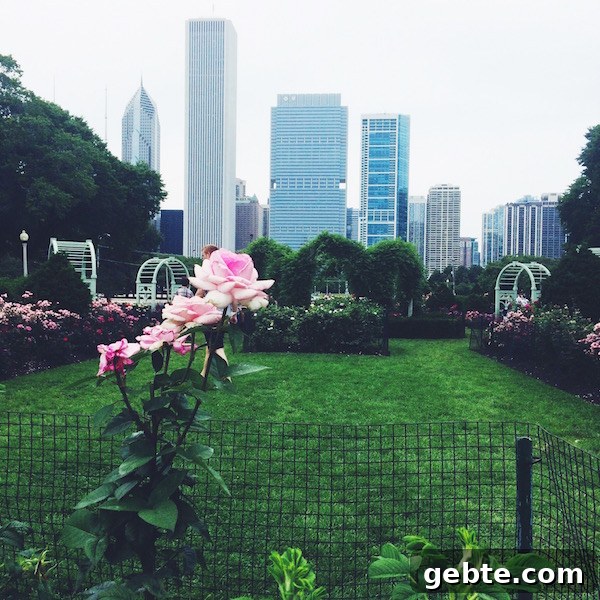 Life in Chicago