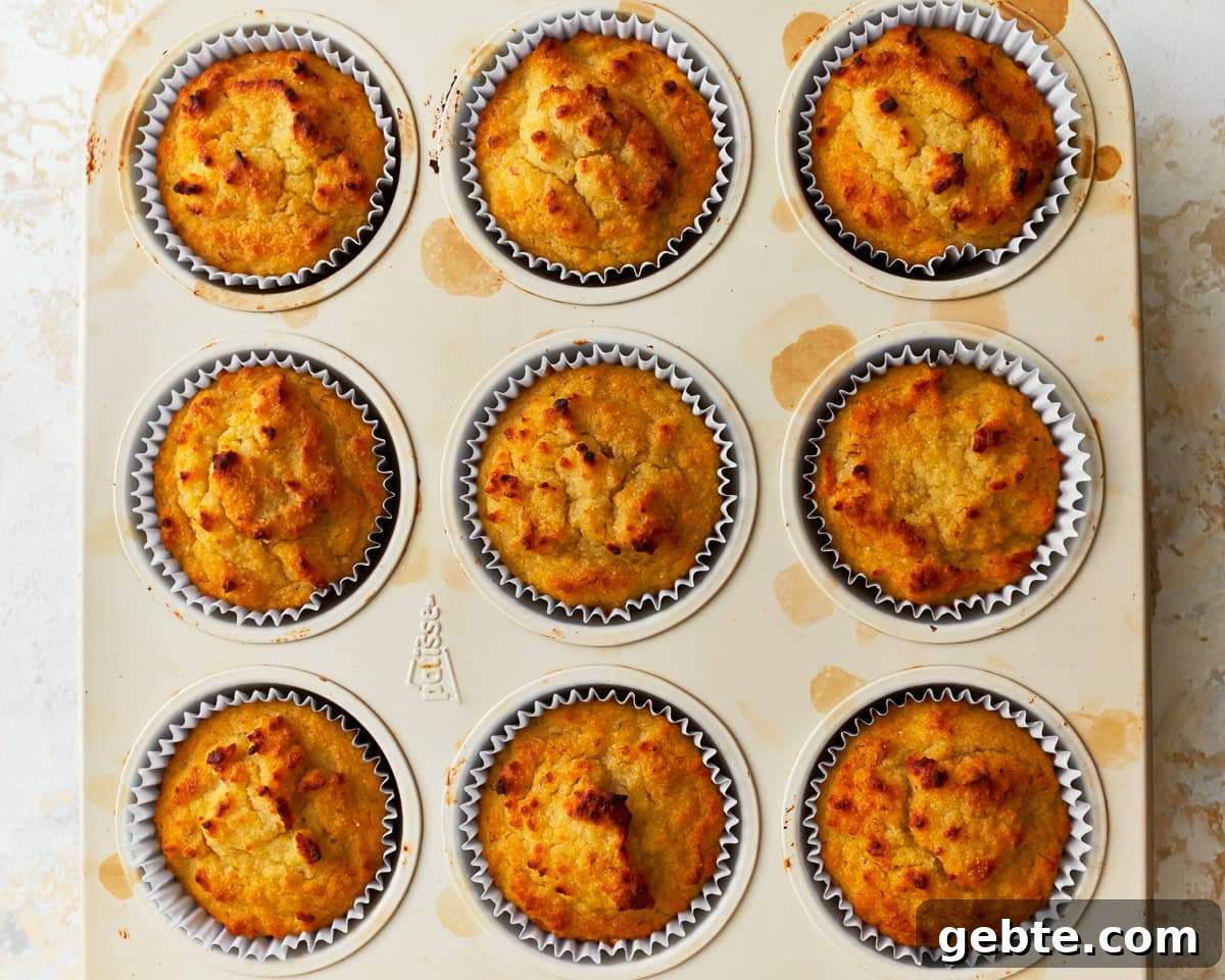 Freshly baked coconut flour muffins in a muffin pan.