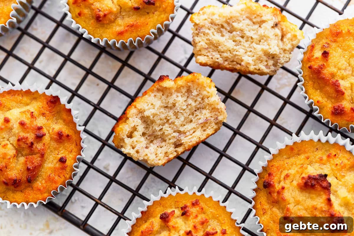 A coconut flour muffin broken in half on a cooling rack.