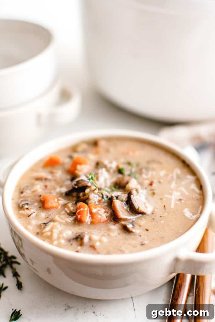 Creamy Wild Rice and Mushroom Soup Recipe for Cozy Nights 2 Wild rice soup in a white bowl.