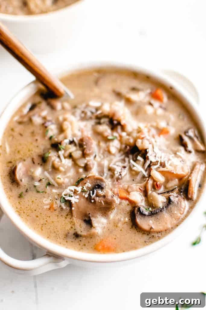 Creamy Wild Rice and Mushroom Soup Recipe for Cozy Nights 4 Close up view of soup in a bowl.