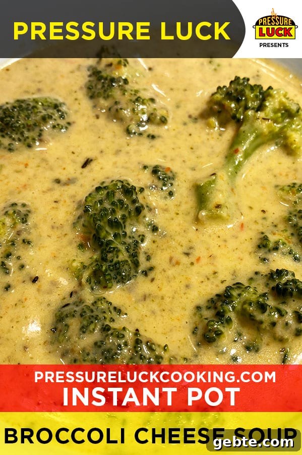 Instant Pot Broccoli Cheddar Soup Recipe for Creamy Comfort 2 img 24736 1