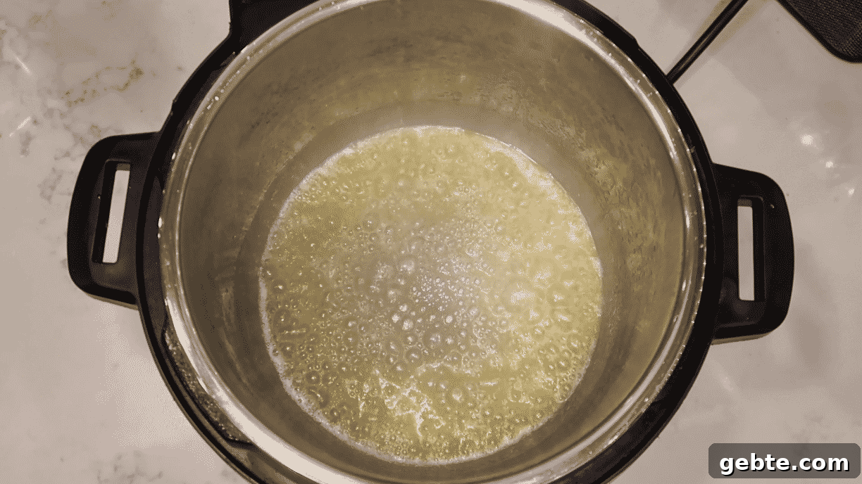 Instant Pot Broccoli Cheddar Soup Recipe for Creamy Comfort 12 img 24736 11
