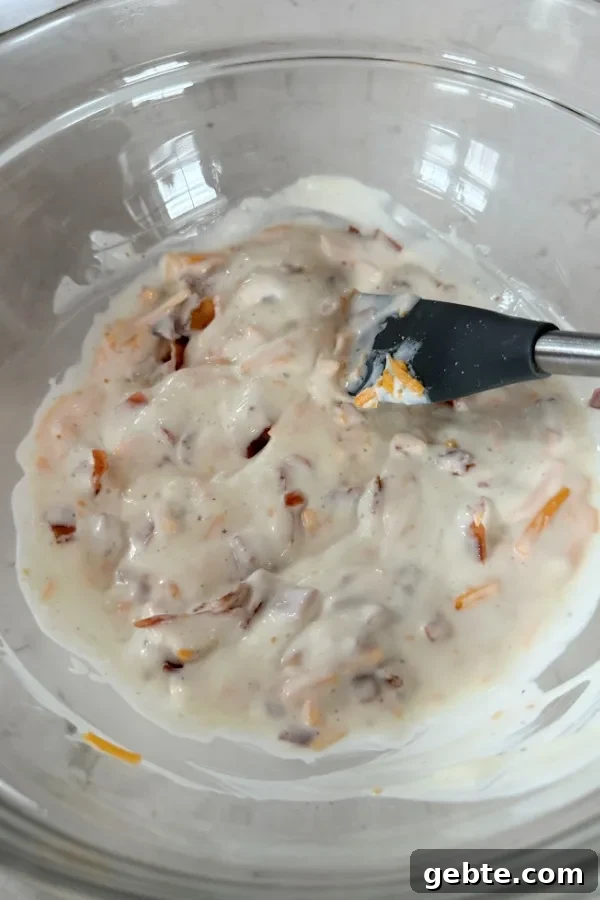 ranch sour cream sauce