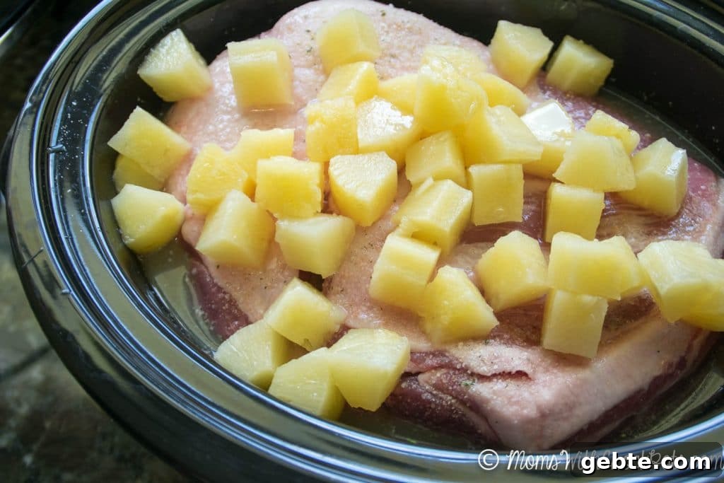 This is not your regular crockpot pulled pork recipe. Kick it up a notch with this Crock Pot Pineapple Pulled Pork. It is full of flavor that the entire family will love!