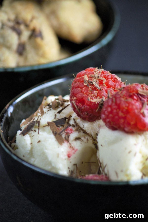 yogurt ice cream