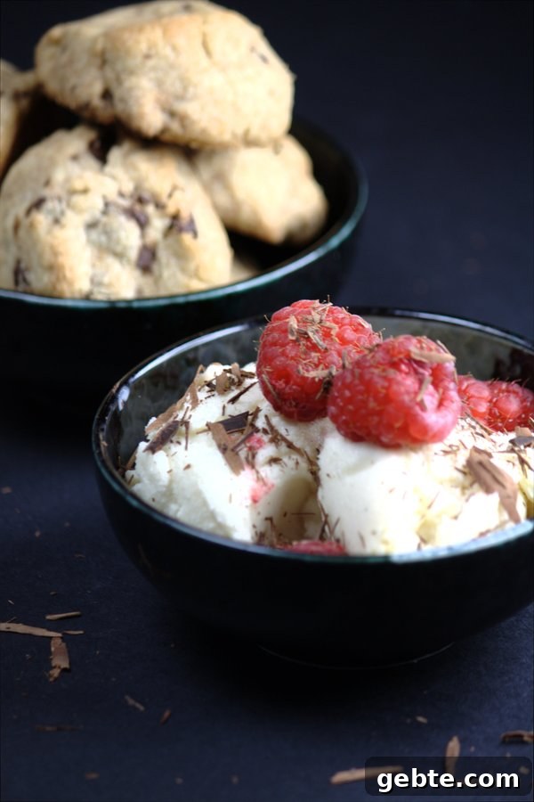 yogurt ice cream