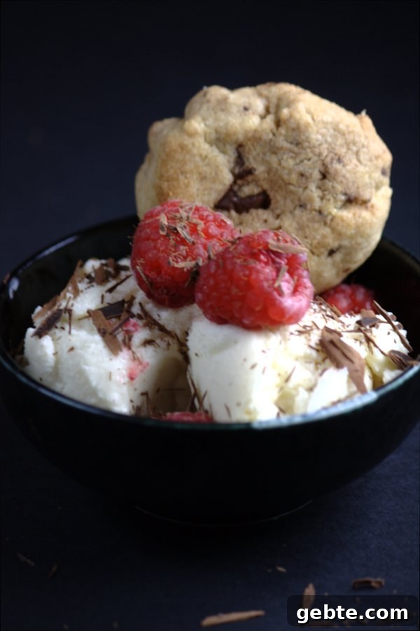 yogurt ice cream