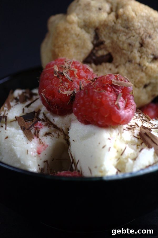 yogurt ice cream