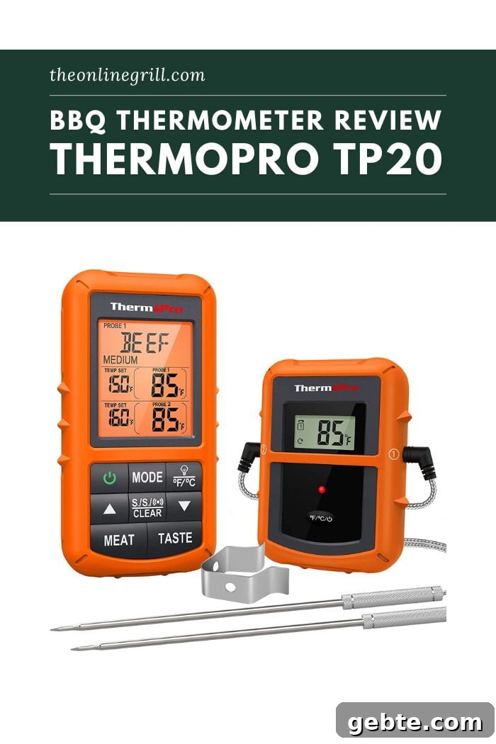 ThermoPro TP20 Review
