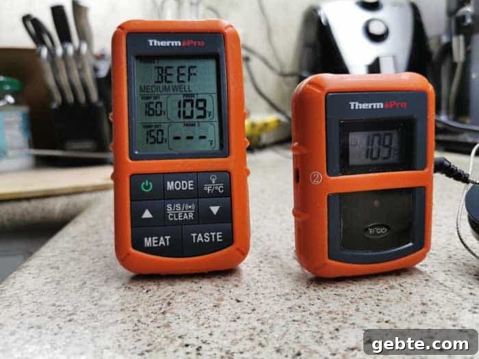 thermopro tp20 review