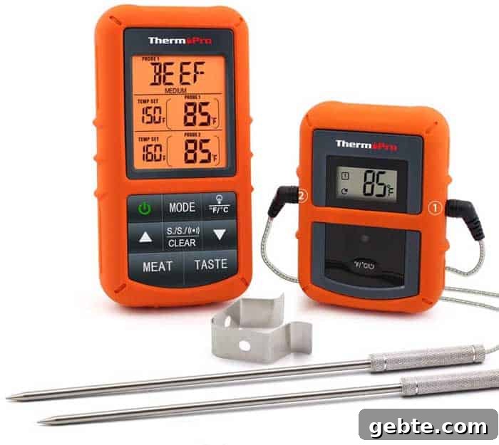 tp20 dual meat probes and grill surface reader