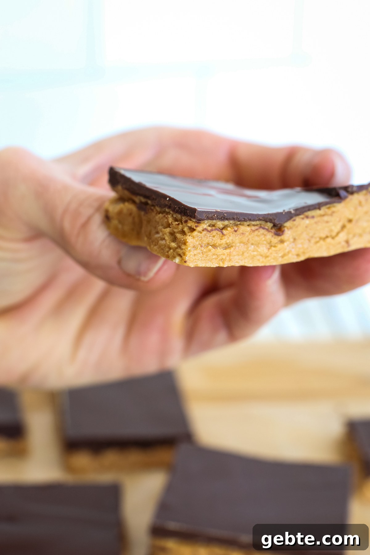 Holding a chocolate peanut butter protein bar