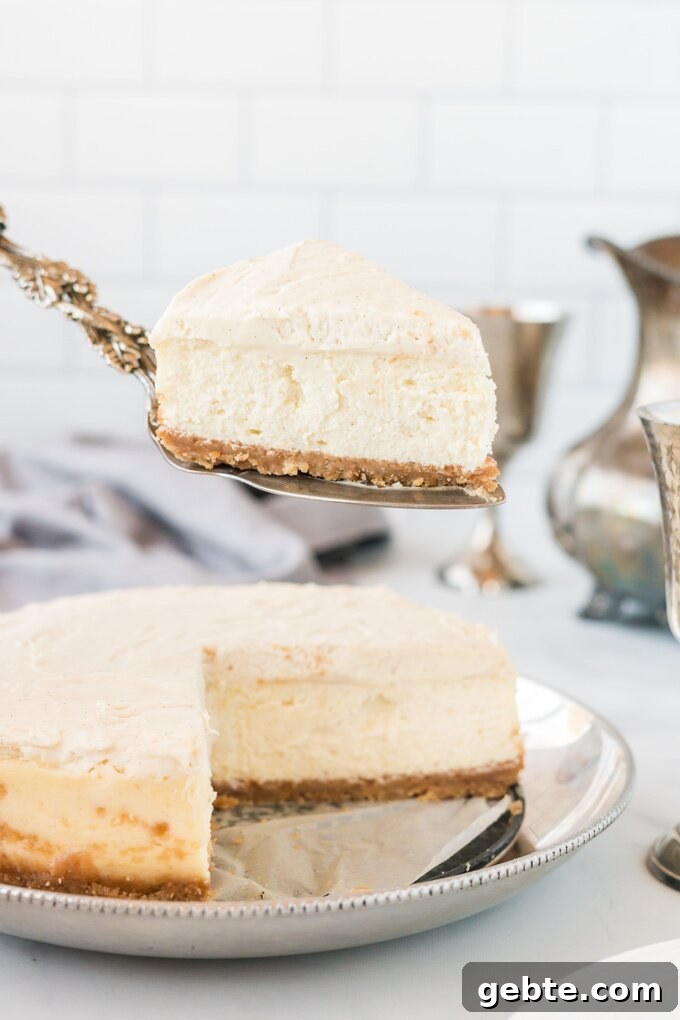 Vanilla Bean Cheesecake Recipe — Cheesecake Factory Copycat 2 Vanilla Bean Cheesecake