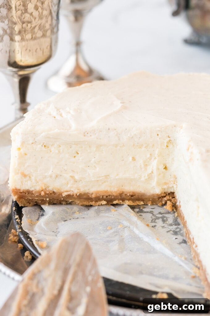 Vanilla Bean Cheesecake Recipe — Cheesecake Factory Copycat 6 Cheesecake texture