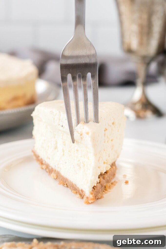 Vanilla Bean Cheesecake Recipe — Cheesecake Factory Copycat 8 Vanilla Bean Cheesecake serving